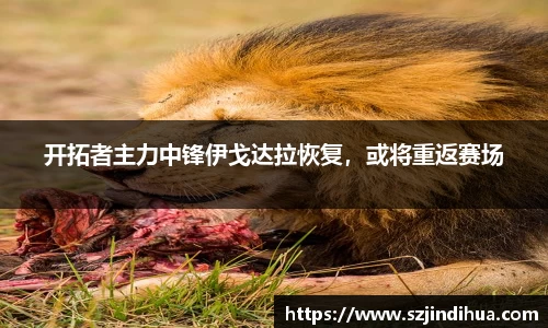 开拓者主力中锋伊戈达拉恢复，或将重返赛场